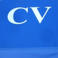 Cv CV