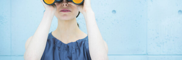 What are pupillage committees looking for?