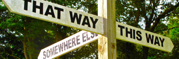 Alternative Paths Post-Graduation: What to Do If You Don’t Want a Legal Career – Anastasia Evans