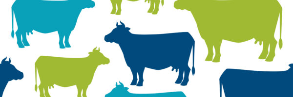 What are some of the most bizarre or unusual laws still in existence?