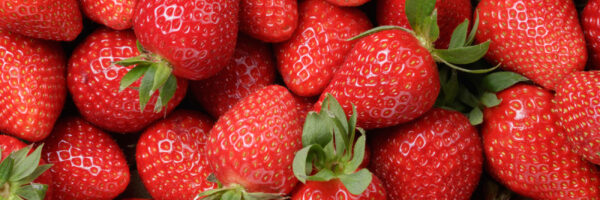 Stuck for something to do in June?