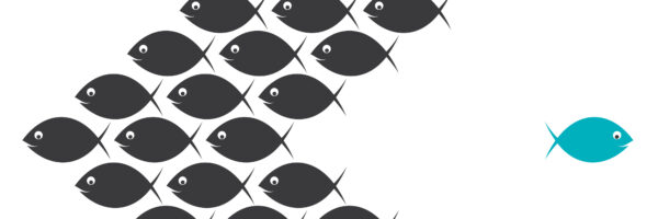 Life As a Pupil and Junior Tenant