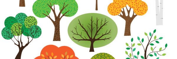 Debate for the trees! Student competition launched by Legal Sustainability Alliance