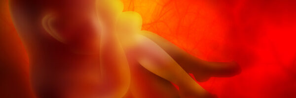 University of Leicester Medical Law Mooting Competition