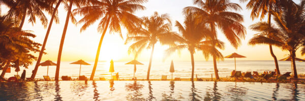 Micro-Placements: get your summer experience organised