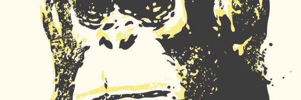 Animal Law and the Cecilia Moot