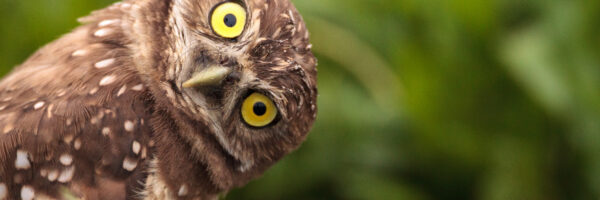 Can your lecturers moot? See John Stanton (LLB) and Sarwan Singh (BPTC) in action…