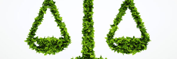 UCL-KCL Environment Law Symposium