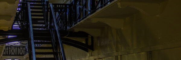 Pro Bono at City – why volunteering at APPEAL made such a difference