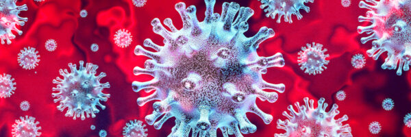 Price Media Law Moot: Fact and fiction collide…